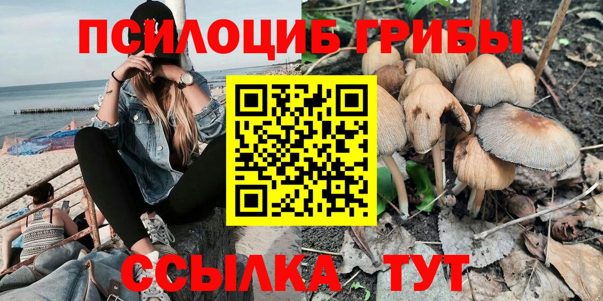 Галлюциногенные грибы Psilocybine cubensis Краснодар