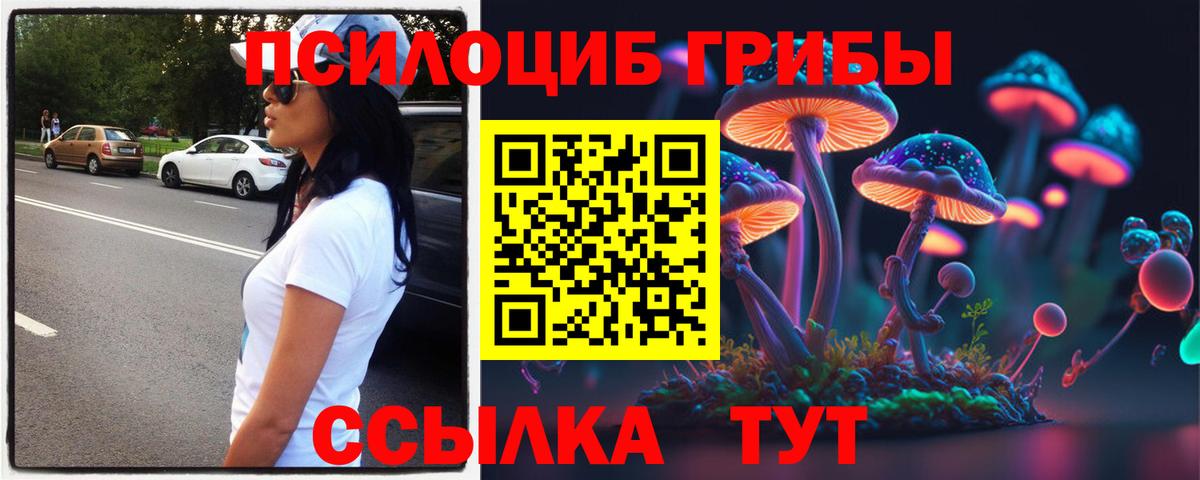 купить наркотик  Вход с VPN  Краснодар  Псилоцибиновые грибы MAGIC MUSHROOMS 